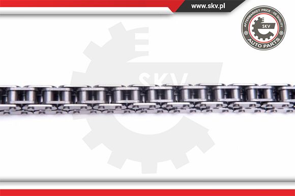 Zestaw łańcucha rozrządu ESEN SKV 21SKV169