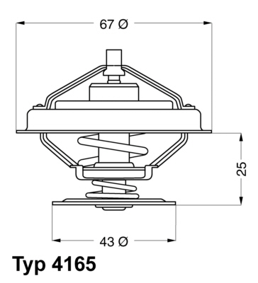Termostat WAHLER 4165.79D
