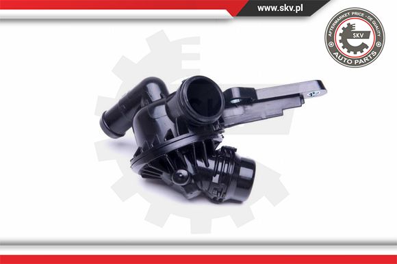 Termostat ESEN SKV 20SKV098