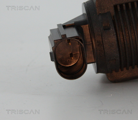 Zawór EGR TRISCAN 8813 15032