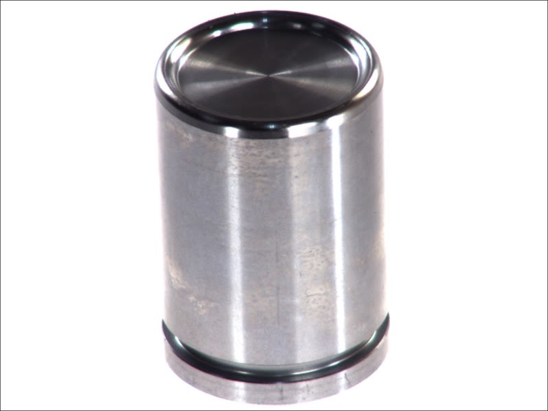 Tłoczek zacisku hamulcowego AUTOFREN SEINSA D02588
