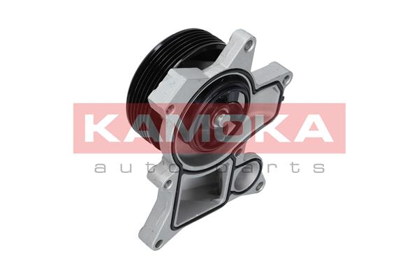 Pompa wody KAMOKA T0048