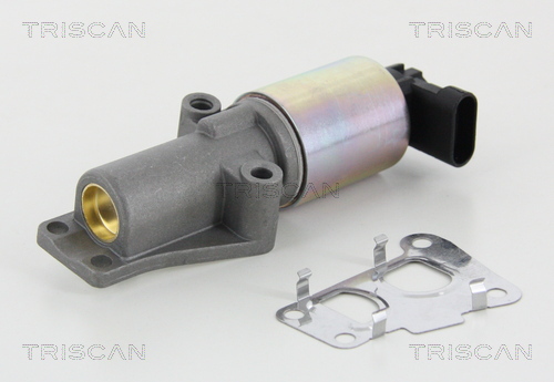 Zawór EGR TRISCAN 8813 24010