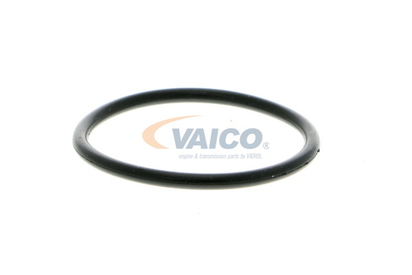 Pompa wody VAICO V10-50014