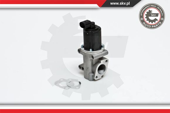 Zawór EGR ESEN SKV 14SKV006