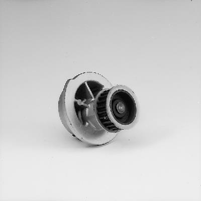 Pompa wody HEPU P317