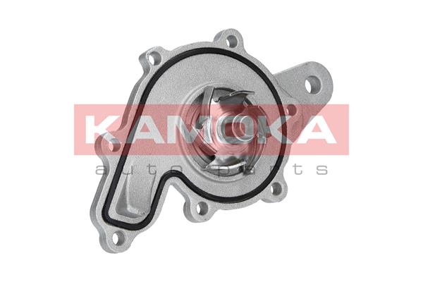 Pompa wody KAMOKA T0259