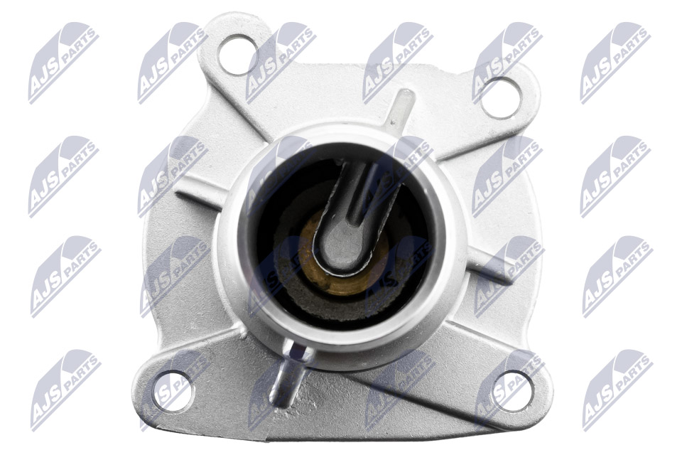 Termostat, środek chłodzący NTY CTM-PL-027