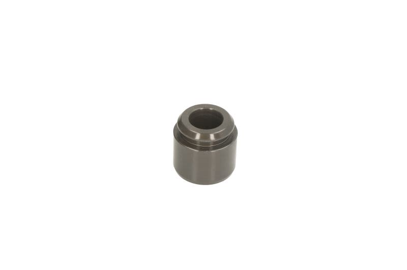 Tłoczek zacisku hamulcowego AUTOFREN SEINSA D025610