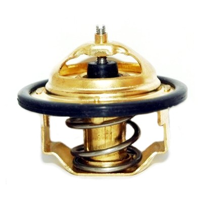 Termostat MEAT & DORIA 92182