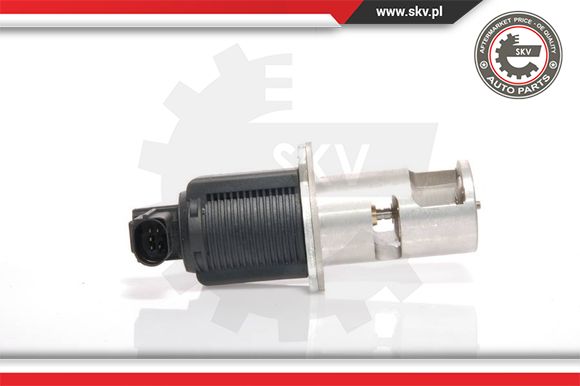 Zawór EGR ESEN SKV 14SKV009