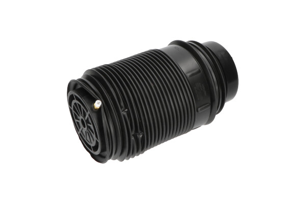 Poduszka powietrzna, zawieszenie KAVO PARTS SAS-10019