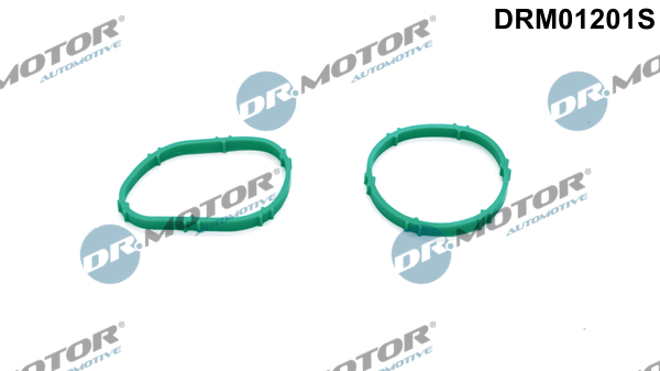 Zestaw uszczelek kolektora ssącego DR.MOTOR AUTOMOTIVE DRM01201S