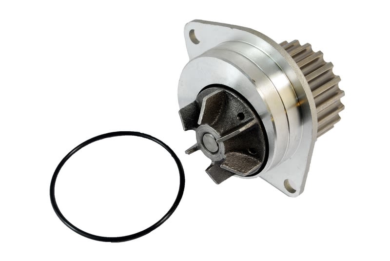 Pompa wody THERMOTEC D1P019TT
