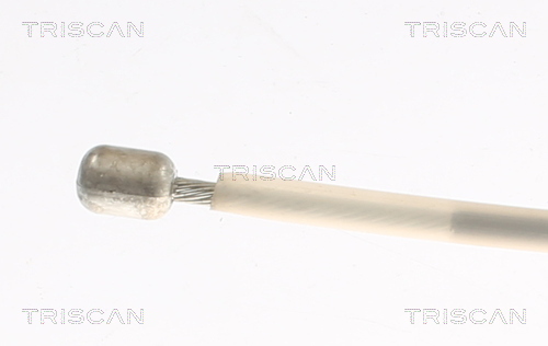 Cięgło, hamulec postojowy TRISCAN 8140 291191