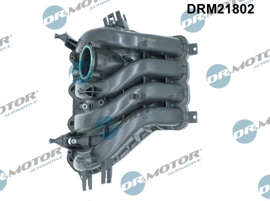 DR.MOTOR AUTOMOTIVE DRM21802
