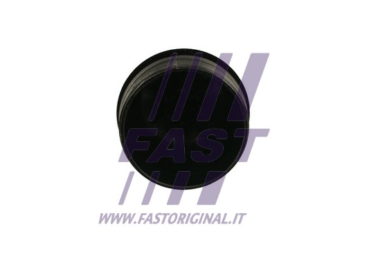 FAST FT94748