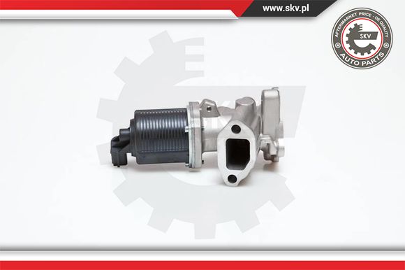 Zawór EGR ESEN SKV 14SKV040