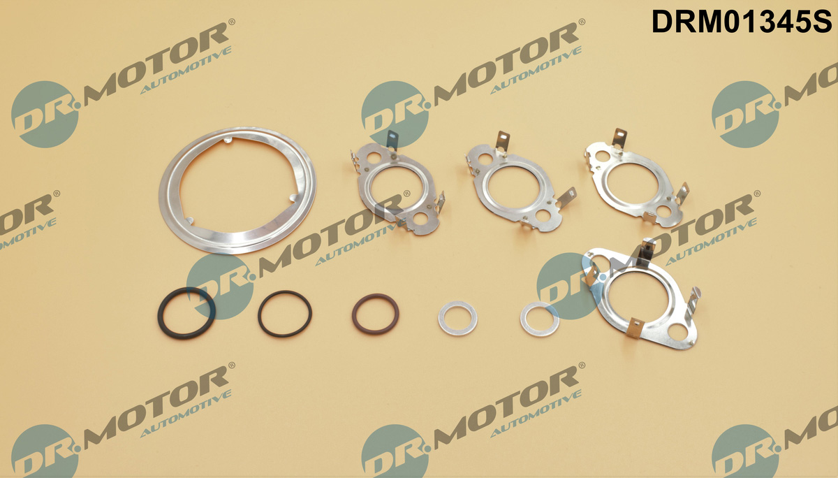 Zestaw uszczelek, system AGR DR.MOTOR AUTOMOTIVE DRM01345S