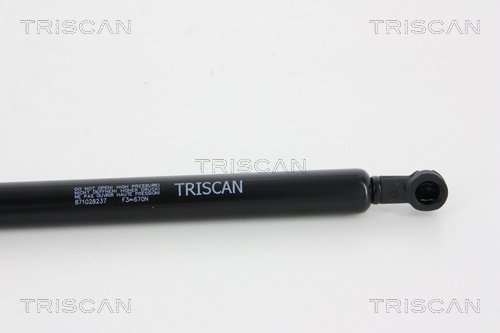 Sprężyna gazowa TRISCAN 8710 28237