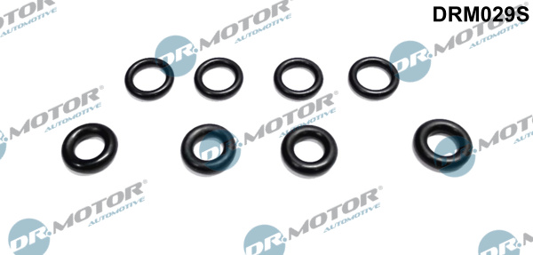 Zestaw pierścieni uszczelniających wtryskiwacz DR.MOTOR AUTOMOTIVE DRM029S