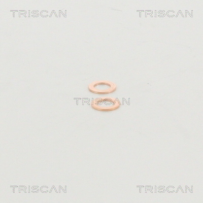 Przewód hamulcowy elastyczny TRISCAN 8150 29132