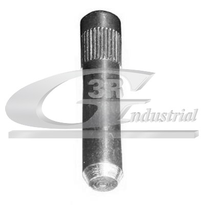 Zawias drzwi 3RG 80721