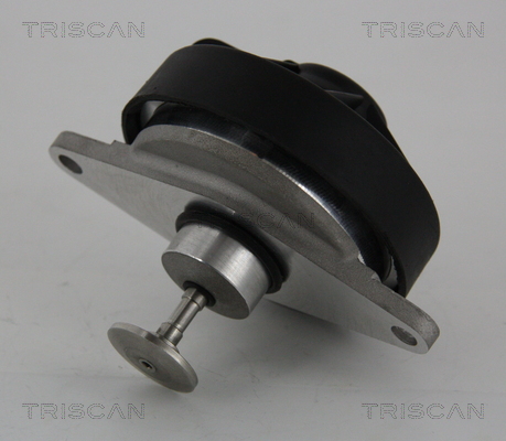 Zawór EGR TRISCAN 8813 24202
