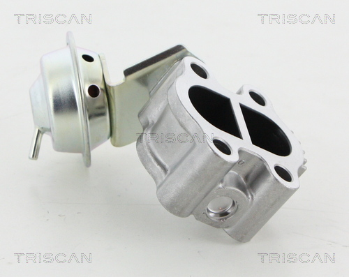 Zawór EGR TRISCAN 8813 13060