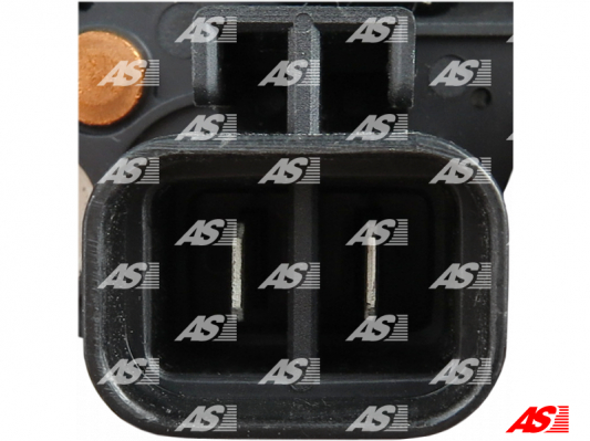 Regulator napięcia AS-PL ARE3060