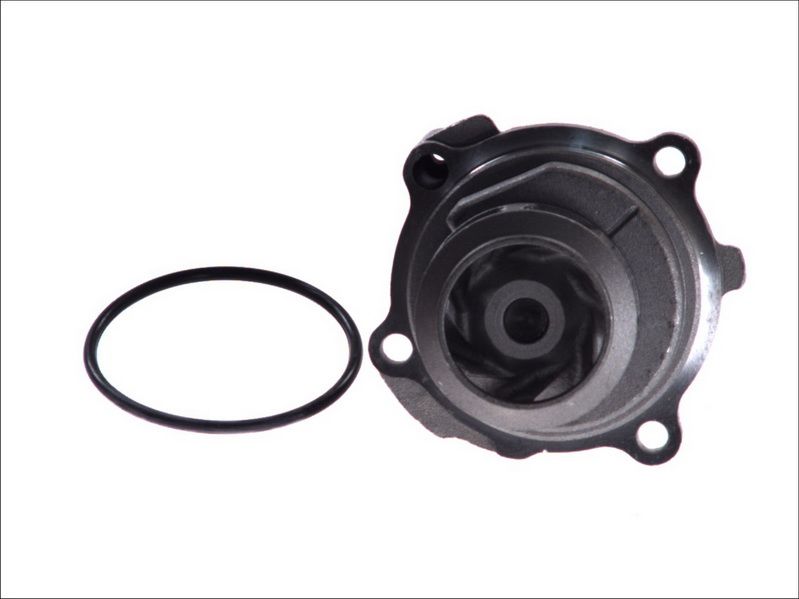 Pompa wody MAGNETI MARELLI 352316171171