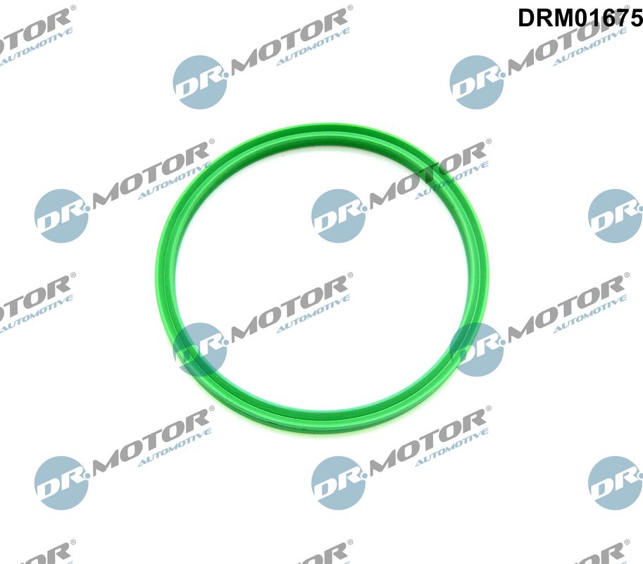 Pierścień uszczelniający, elast. przewód pow. do turbiny DR.MOTOR AUTOMOTIVE DRM01675
