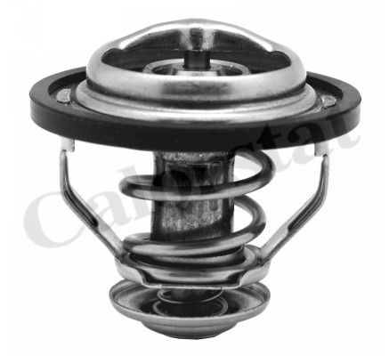 Termostat CALORSTAT BY VERNET TH5130.89J