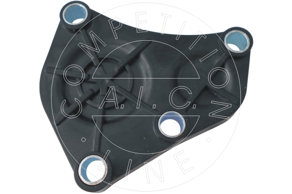 AIC 56066