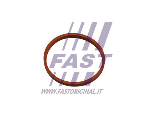 Uszczelniacz przewodu doładowującego FAST FT48932