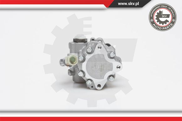 Pompa wspomagania ESEN SKV 10SKV014