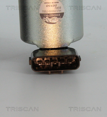 Zawór EGR TRISCAN 8813 24101