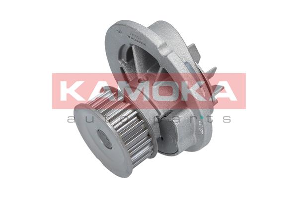 Pompa wody KAMOKA T0231