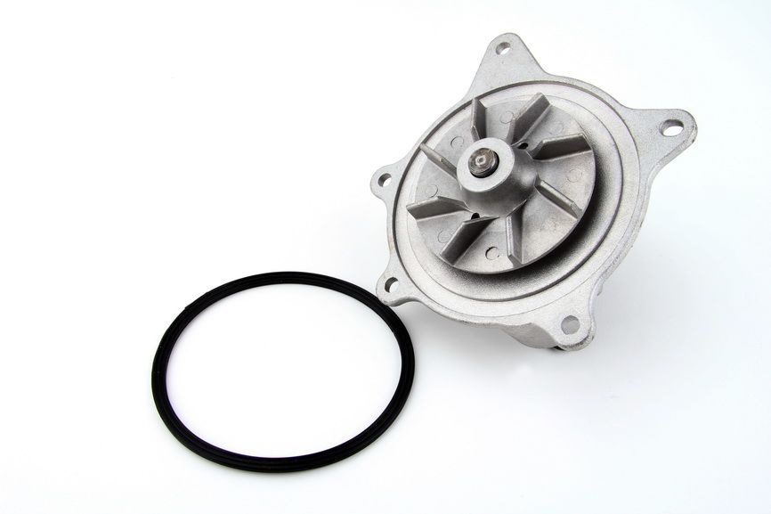 Pompa wody THERMOTEC D1Y006TT