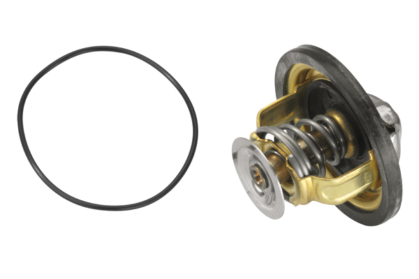 Termostat WAHLER 4174.79D