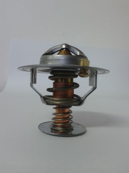 Termostat THERMOTEC D2CA002TT