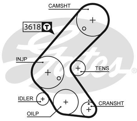 Pasek rozrządu GATES 5563XS