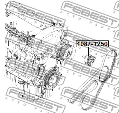 Rolka napinacza paska osprzętu FEBEST 1087-T250
