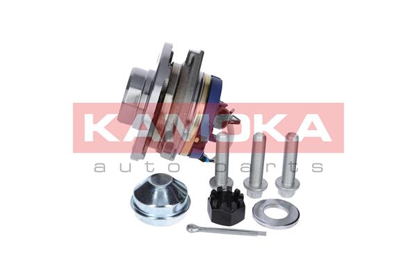 Zestaw łożysk koła KAMOKA 5500061