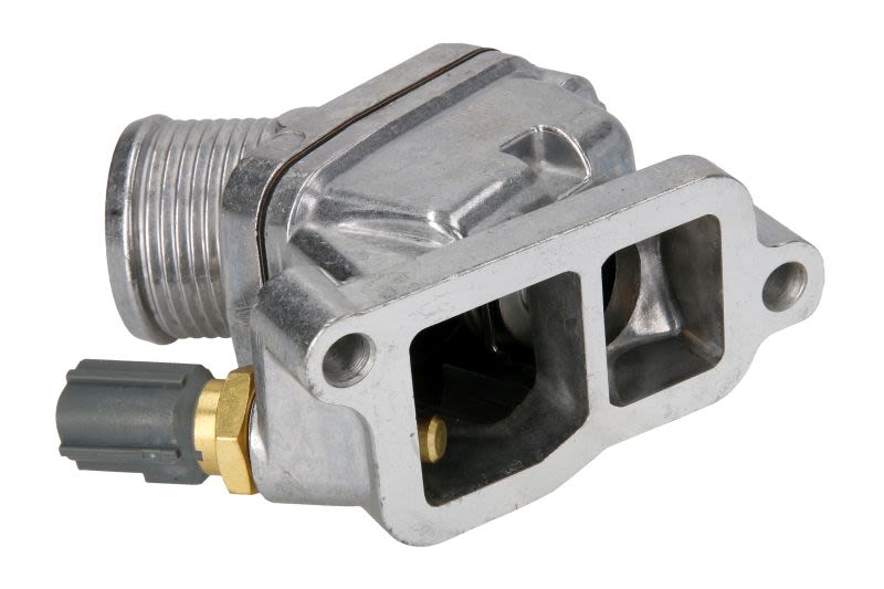 Termostat THERMOTEC D2V003TT