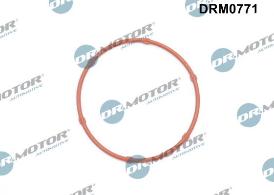 Uszczelka pompy oleju DR.MOTOR AUTOMOTIVE DRM0771
