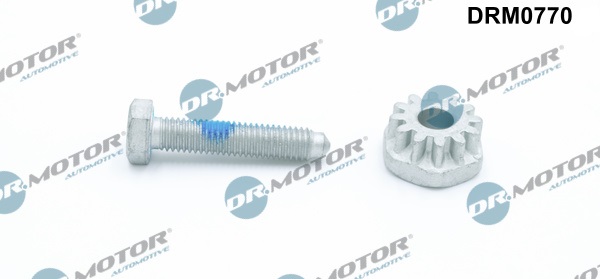 śruba napinacza, wspornik alternatora DR.MOTOR AUTOMOTIVE DRM0770