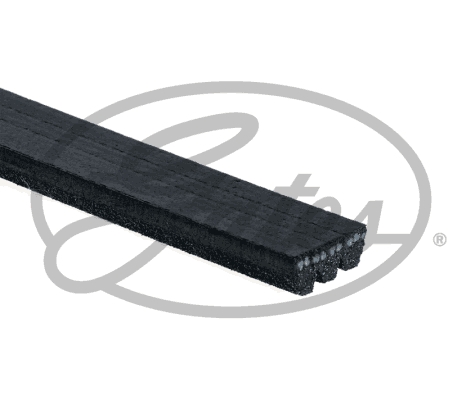 Pasek klinowy wielorowkowy GATES 3PK808