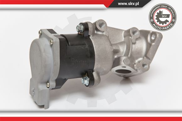 Zawór EGR ESEN SKV 14SKV066