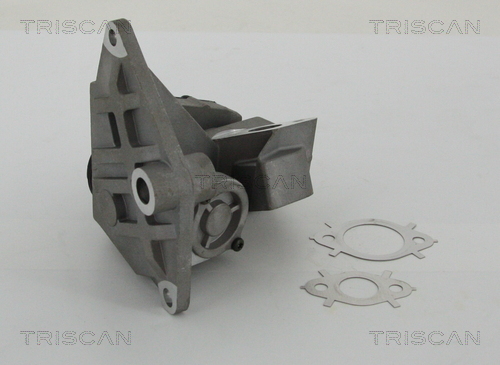 Zawór EGR TRISCAN 8813 29047